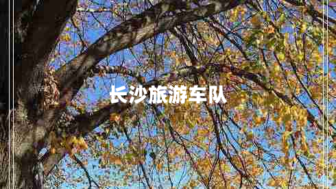 長沙旅游車隊(duì)