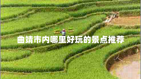 曲靖市內哪里好玩的景點(diǎn)推薦
