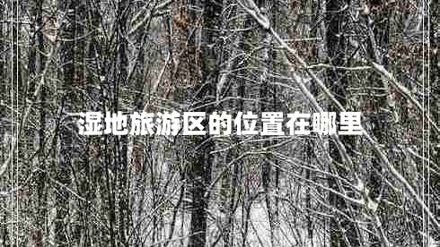 濕地旅游區的位置在哪里