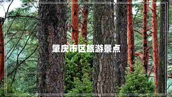 肇慶市區旅游景點(diǎn)