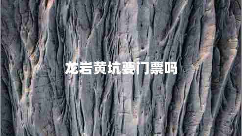 龍巖黃坑要門(mén)票嗎