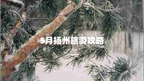 5月?lián)P州旅游攻略