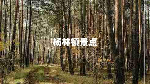 楊林鎮景點(diǎn)