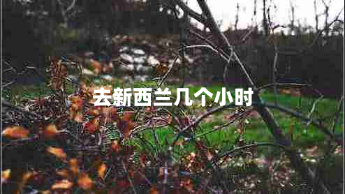 去新西蘭幾個(gè)小時(shí)