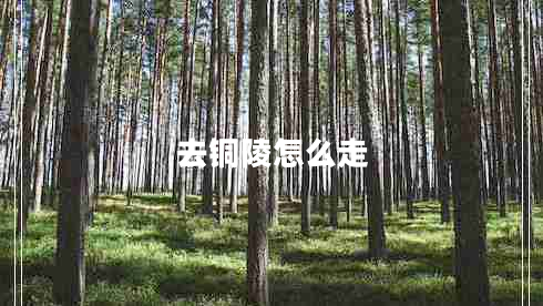 去銅陵怎么走