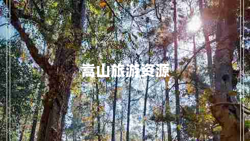 嵩山旅游資源