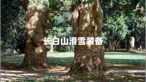 長(cháng)白山滑雪裝備