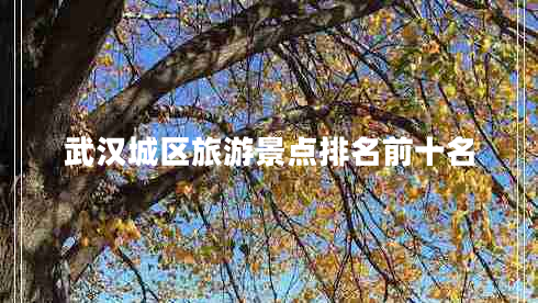 武漢城區旅游景點(diǎn)排名前十名
