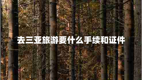 去三亞旅游要什么手續和證件