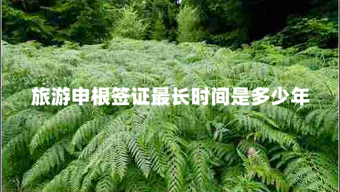 旅游申根簽證最長(cháng)時(shí)間是多少年