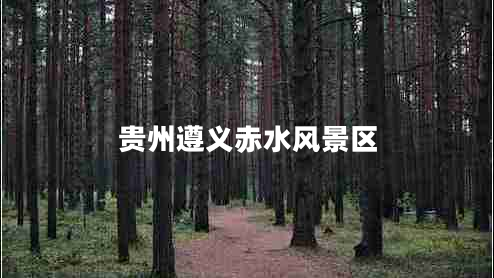 貴州遵義赤水風(fēng)景區
