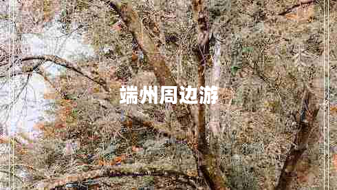 端州周邊游