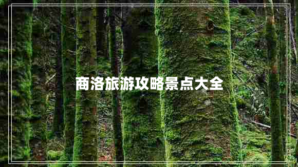 商洛旅游攻略景點(diǎn)大全