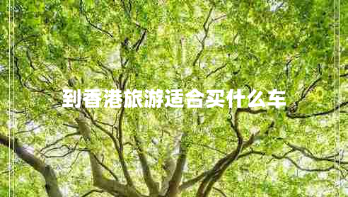 到香港旅游適合買(mǎi)什么車(chē)