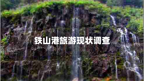 鐵山港旅游現狀調查