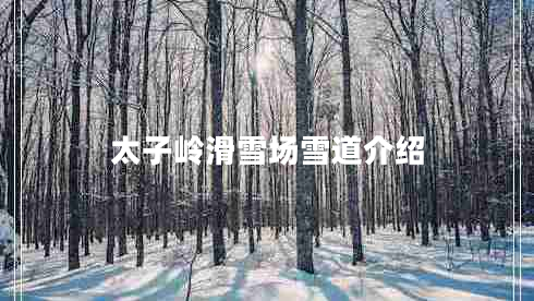太子嶺滑雪場(chǎng)雪道介紹