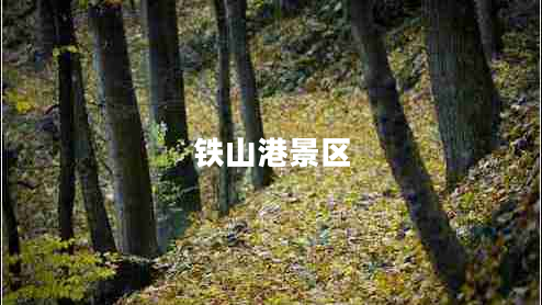 鐵山港景區