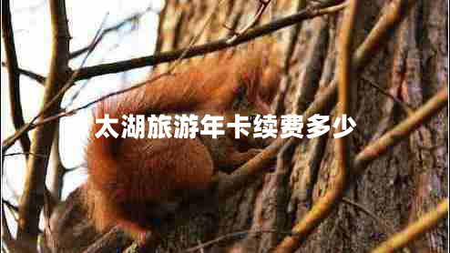 太湖旅游年卡續費多少