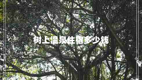 樹(shù)上溫泉住宿多少錢(qián)