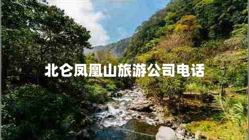 北侖鳳凰山旅游公司電話(huà)