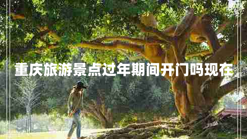 重慶旅游景點(diǎn)過(guò)年期間開(kāi)門(mén)嗎現在