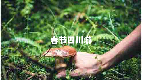 春節四川游