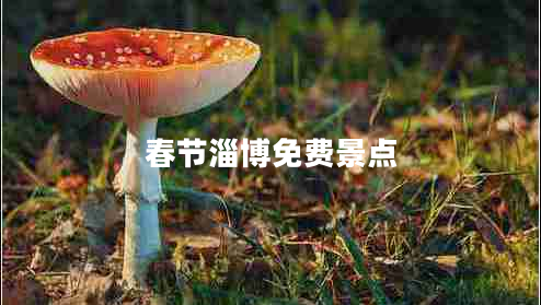 春節淄博免費景點(diǎn)