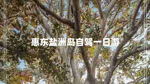 惠東鹽洲島自駕一日游