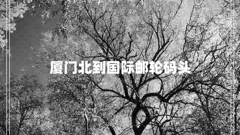 廈門(mén)北到國際郵輪碼頭