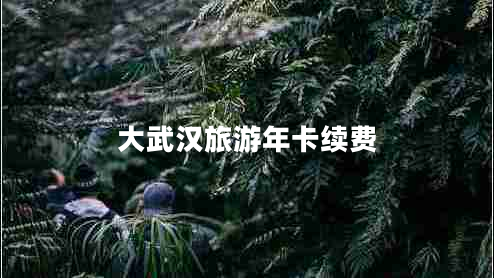 大武漢旅游年卡續費