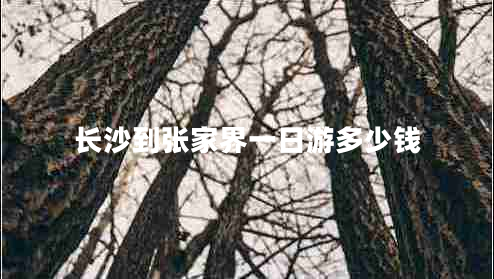 長(cháng)沙到張家界一日游多少錢(qián)