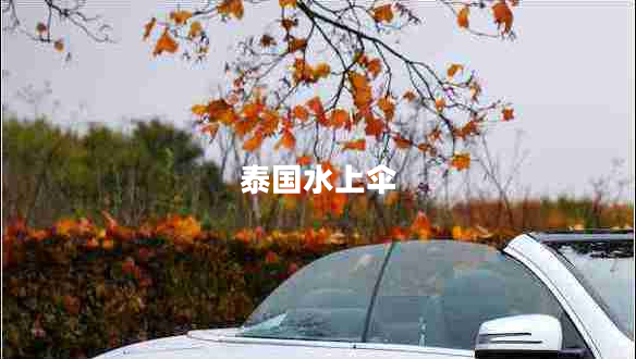 泰國水上傘