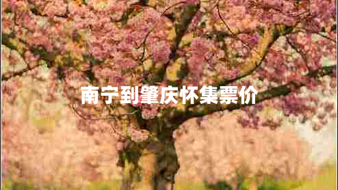 南寧到肇慶懷集票價(jià)