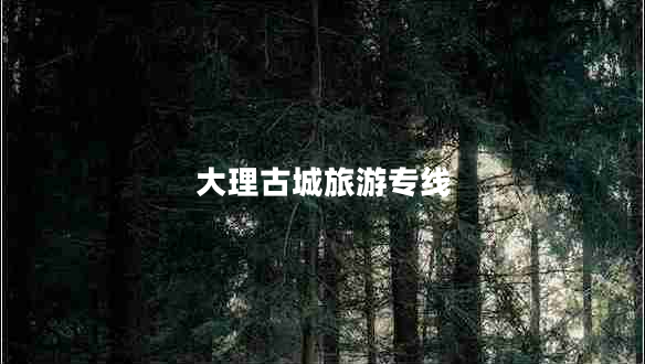 大理古城旅游專(zhuān)線(xiàn)