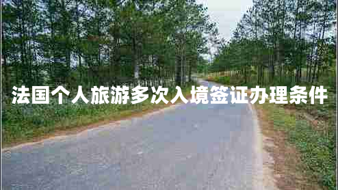 法國個(gè)人旅游多次入境簽證辦理條件