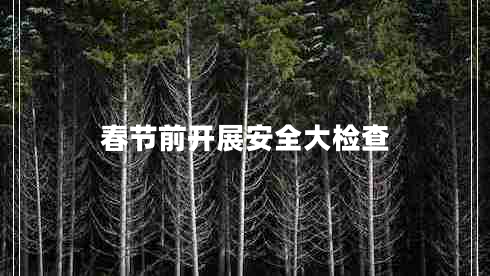 春節前開(kāi)展安全大檢查