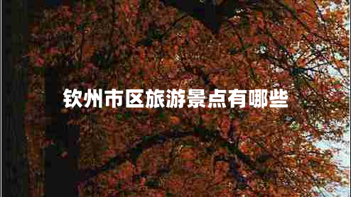 欽州市區旅游景點(diǎn)有哪些