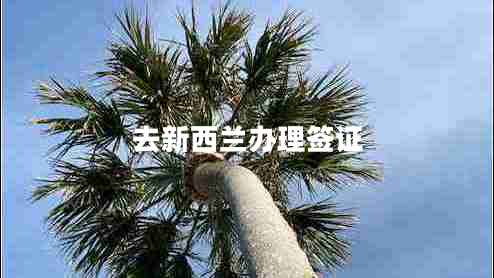 去新西蘭辦理簽證