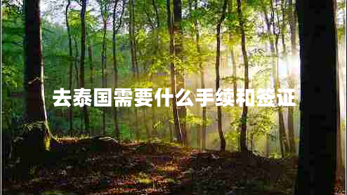 去泰國需要什么手續和簽證