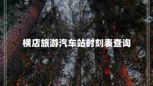 橫店旅游汽車(chē)站時(shí)刻表查詢(xún)