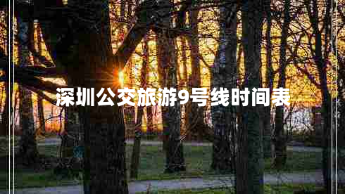 深圳公交旅游9號線(xiàn)時(shí)間表