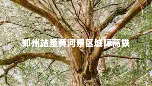 鄭州站至黃河景區城際高鐵