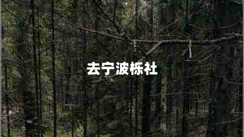 去寧波櫟社