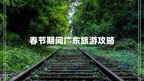 春節期間廣東旅游攻略