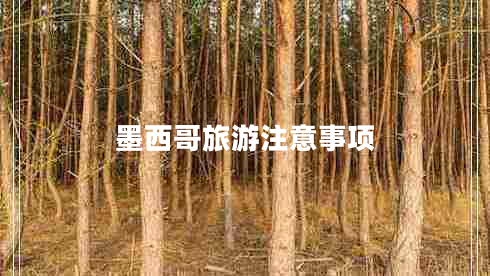 墨西哥旅游注意事項