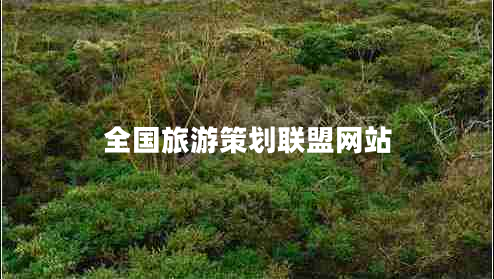 全國旅游策劃聯(lián)盟網(wǎng)站