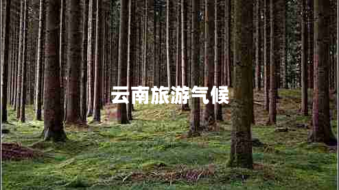 云南旅游氣候