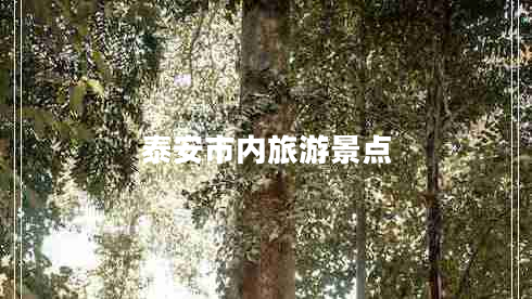泰安市內旅游景點(diǎn)