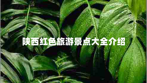 陜西紅色旅游景點(diǎn)大全介紹