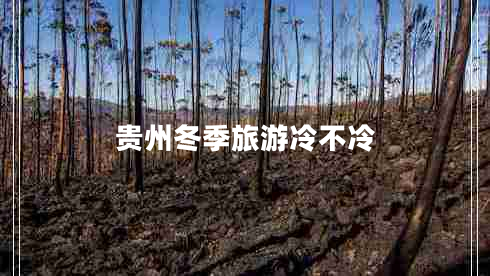 貴州冬季旅游冷不冷